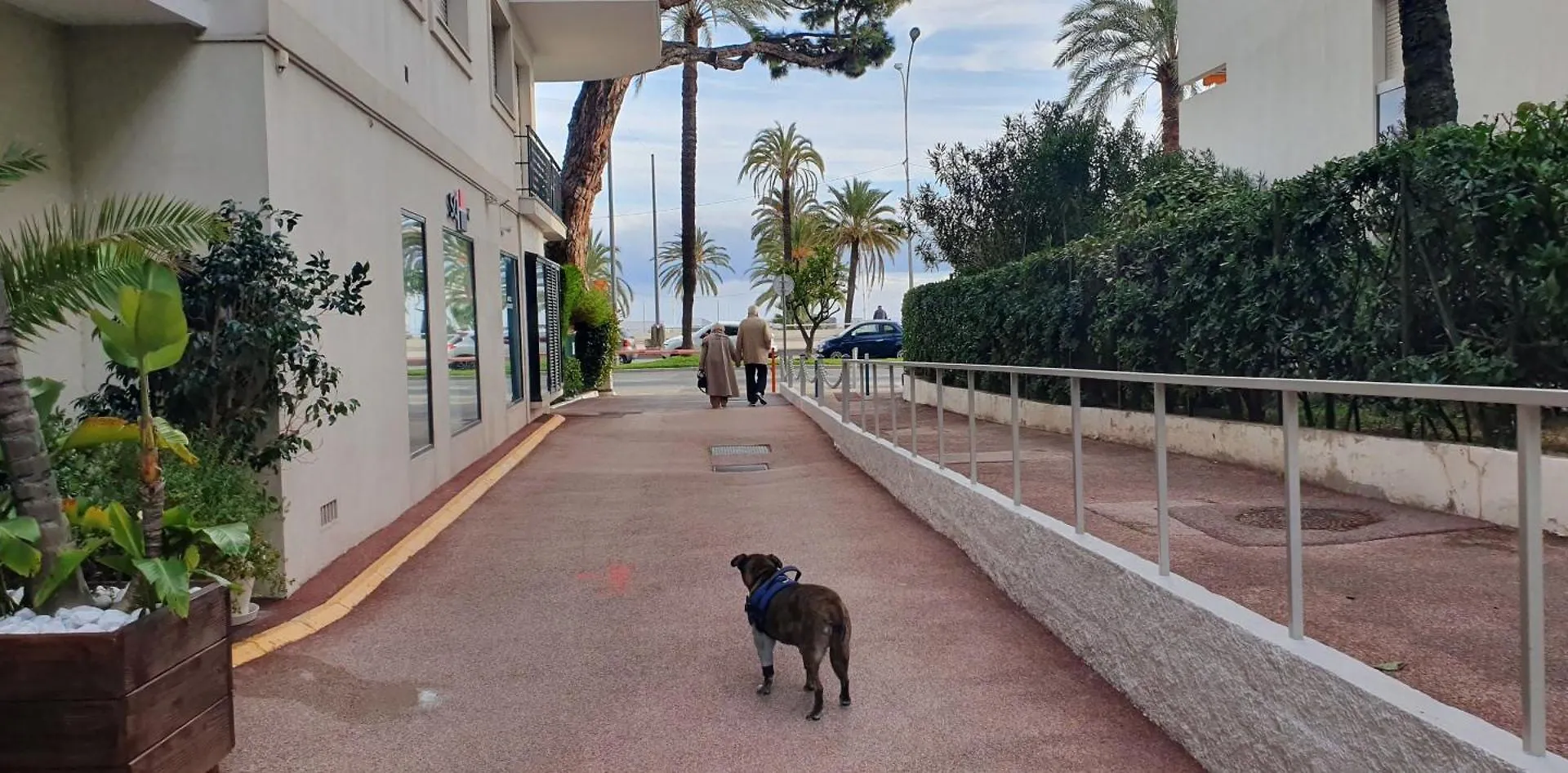 Beautiful Menton Apartment Les Sablettes 0*,